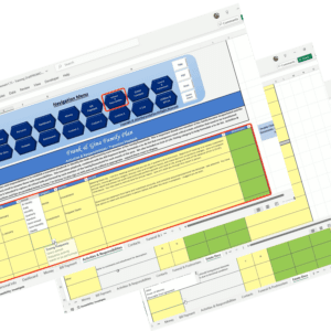 Estate Planning Worksheet | Professional